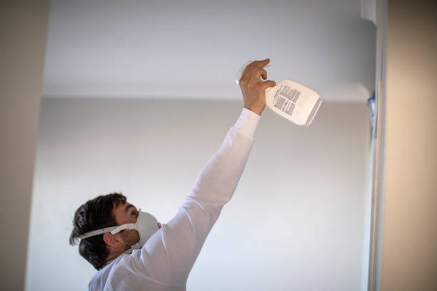 Best Fast Mold Removal  in Sorgho, KY