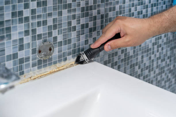 Best Home Mold Removal  in Sorgho, KY